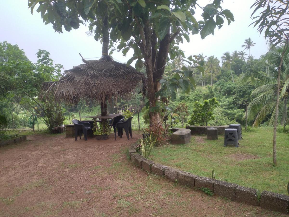 Joseph Dale Homestay Varkala Esterno foto